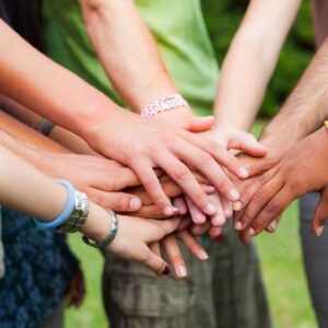 Virtual Bible Study Guides